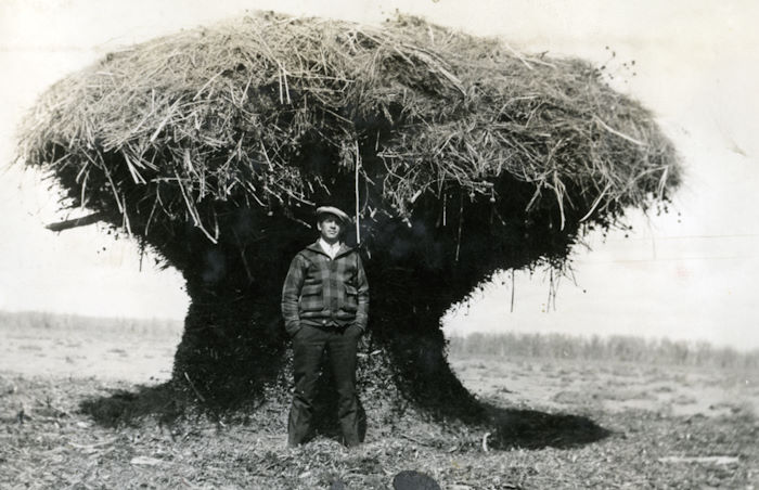 Ferd Henning Threshing Time